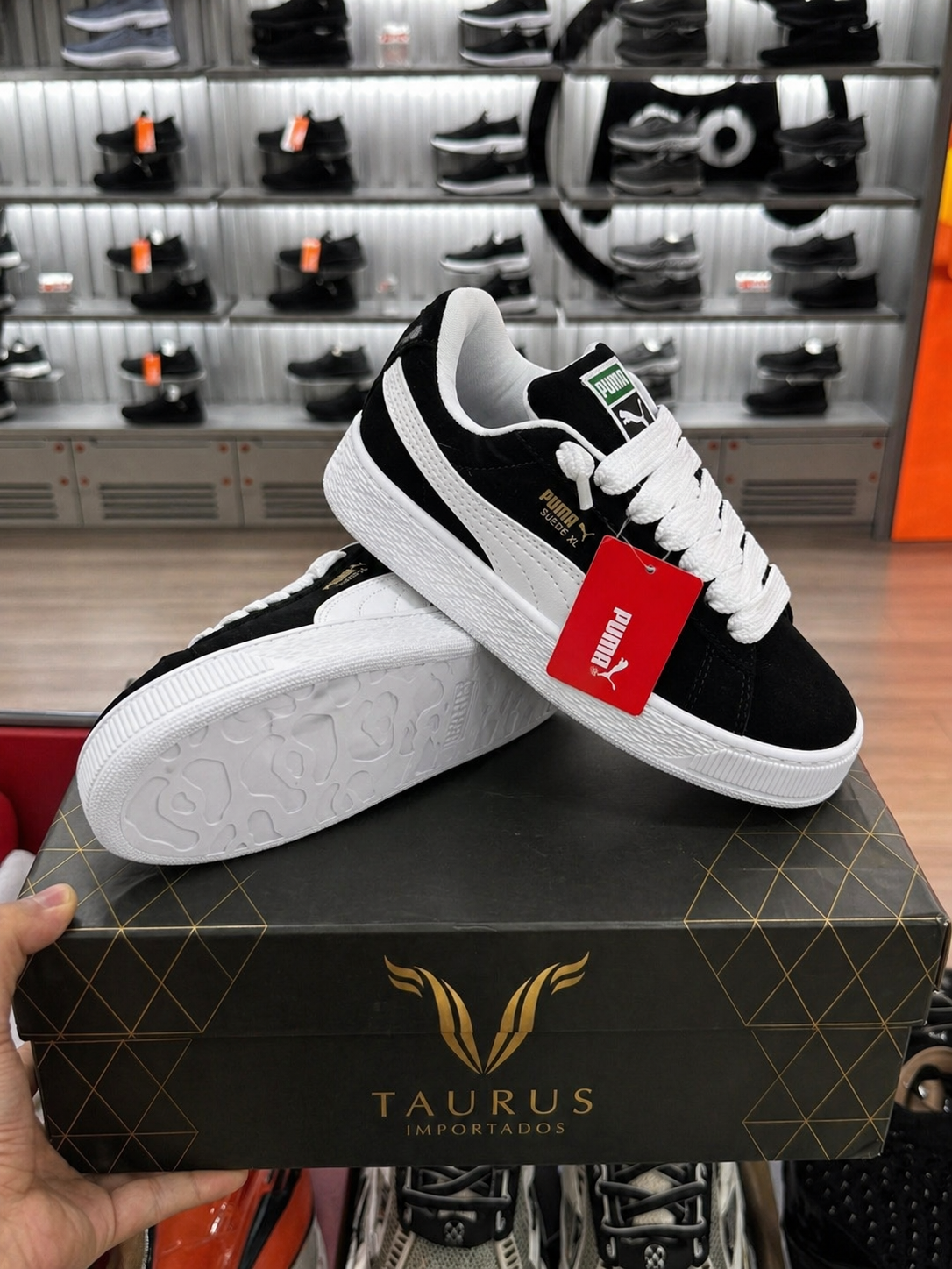Puma Suede | Exclusividad 🔥
